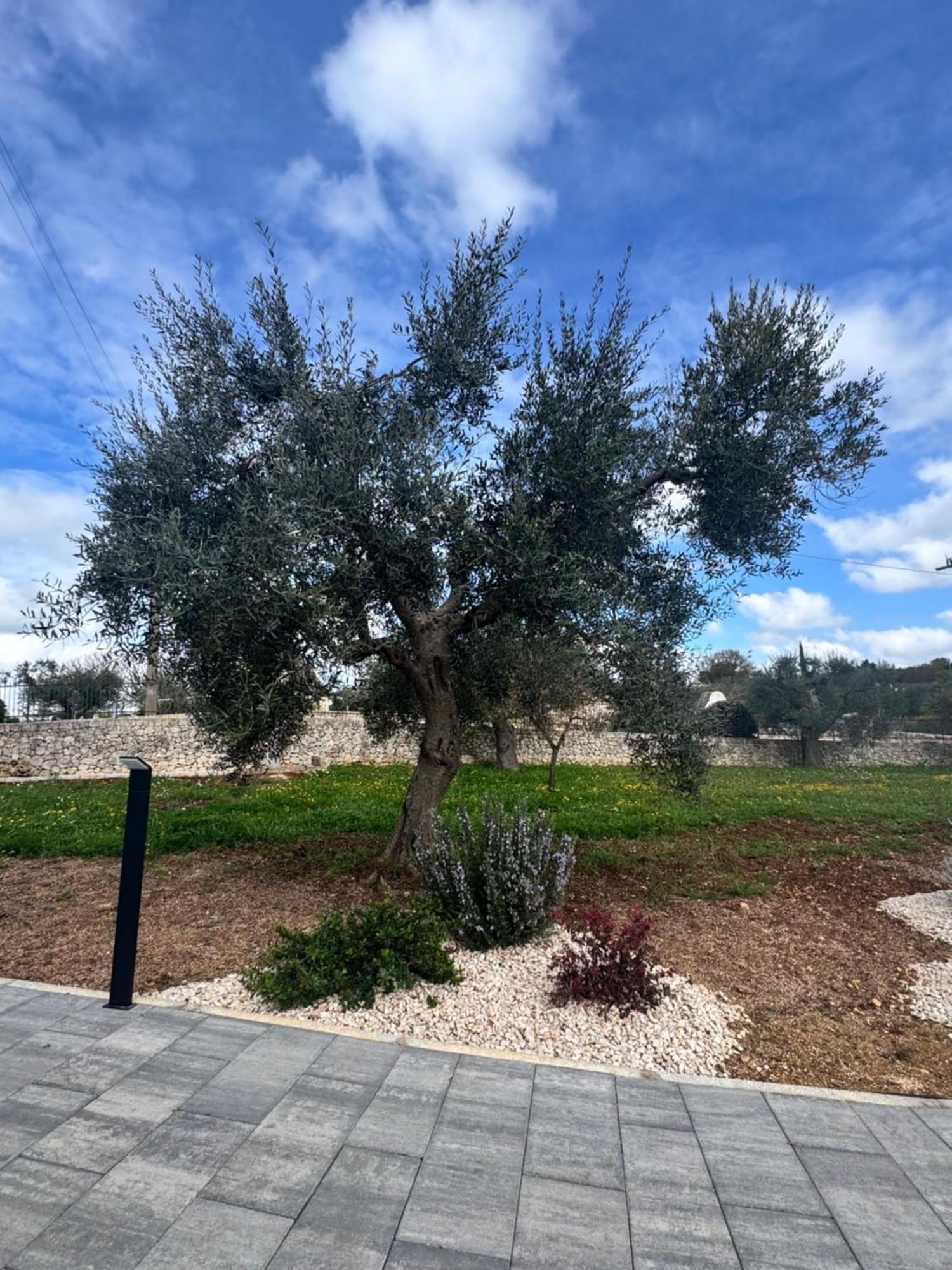 אלברובלו Alberobbe Luxury Rooms מראה חיצוני תמונה